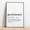 Persistence Definition Ellens Shop